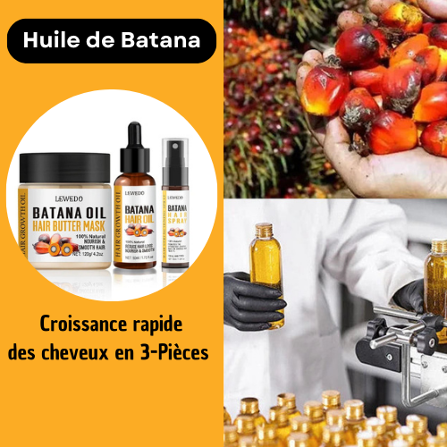  Huile de Batana - Croissance rapide des cheveux en 3 pièces